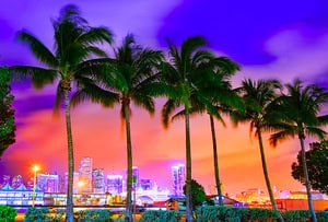 Skyline de Miami con palmeras