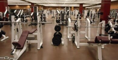 Tipos de requisitos para ABRIR un GIMNASIO en Estados Unidos