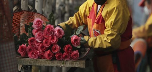 Empleos para latinos en floricultoras de Florida: almacenes, cultivo y más