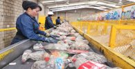 Recicladora tiene empleos en Miami para clasificadores de materiales: Aplique así