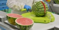 Empresa de arreglos en Broward solicita personal para cortar frutas (Aplique ya)