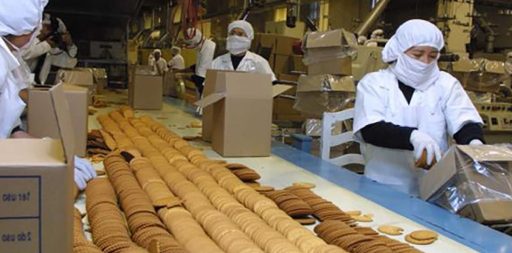 Trabajo en Miami, FL: Buscan personas para fábrica de galletas (Vacantes)