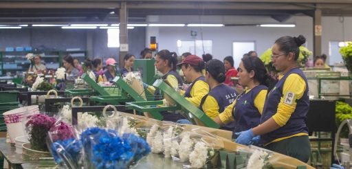 Empresa de flores necesita personal para sus bodegas en Miami