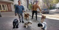 En Miami hay trabajo para cuidadores de mascotas y personas: Aplique en ellas